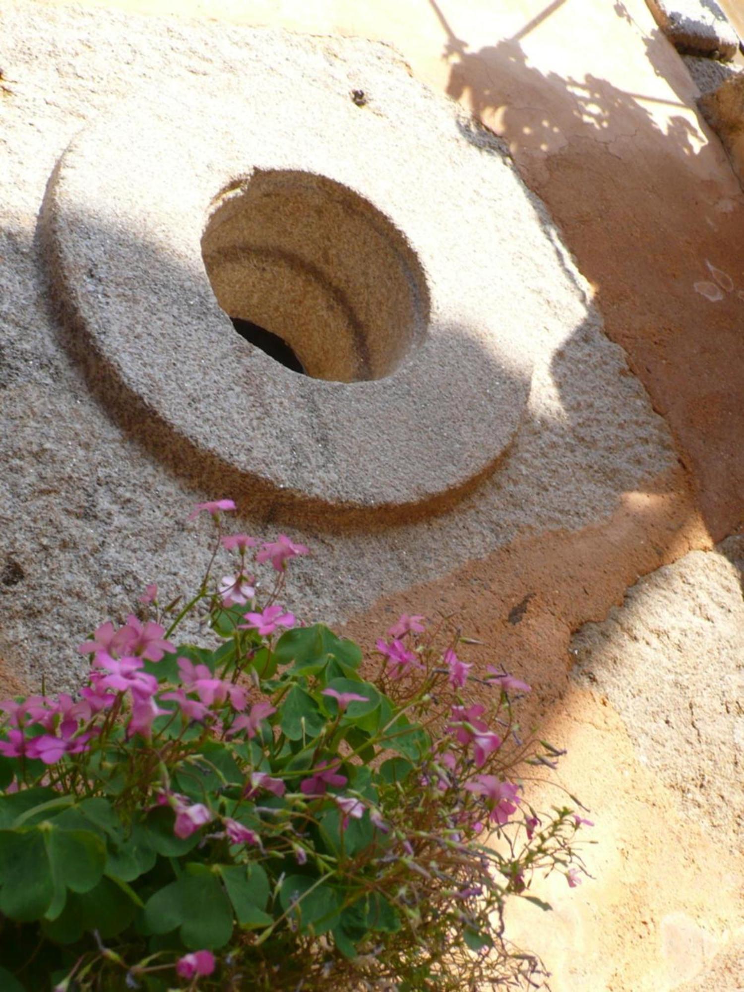 Penzion Casa Da Ti Cura Atenor Exteriér fotografie