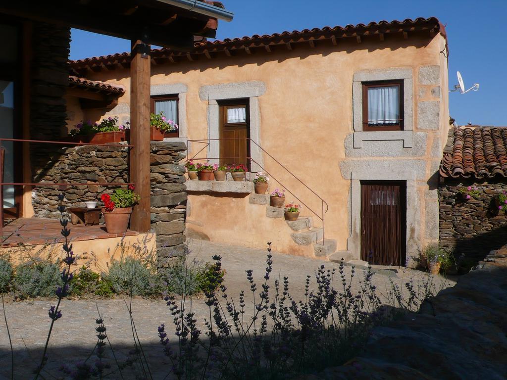 Penzion Casa Da Ti Cura Atenor Exteriér fotografie